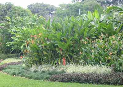 Jardín