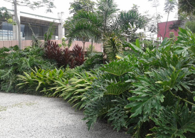 Jardín