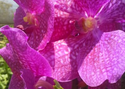 20160730_114614